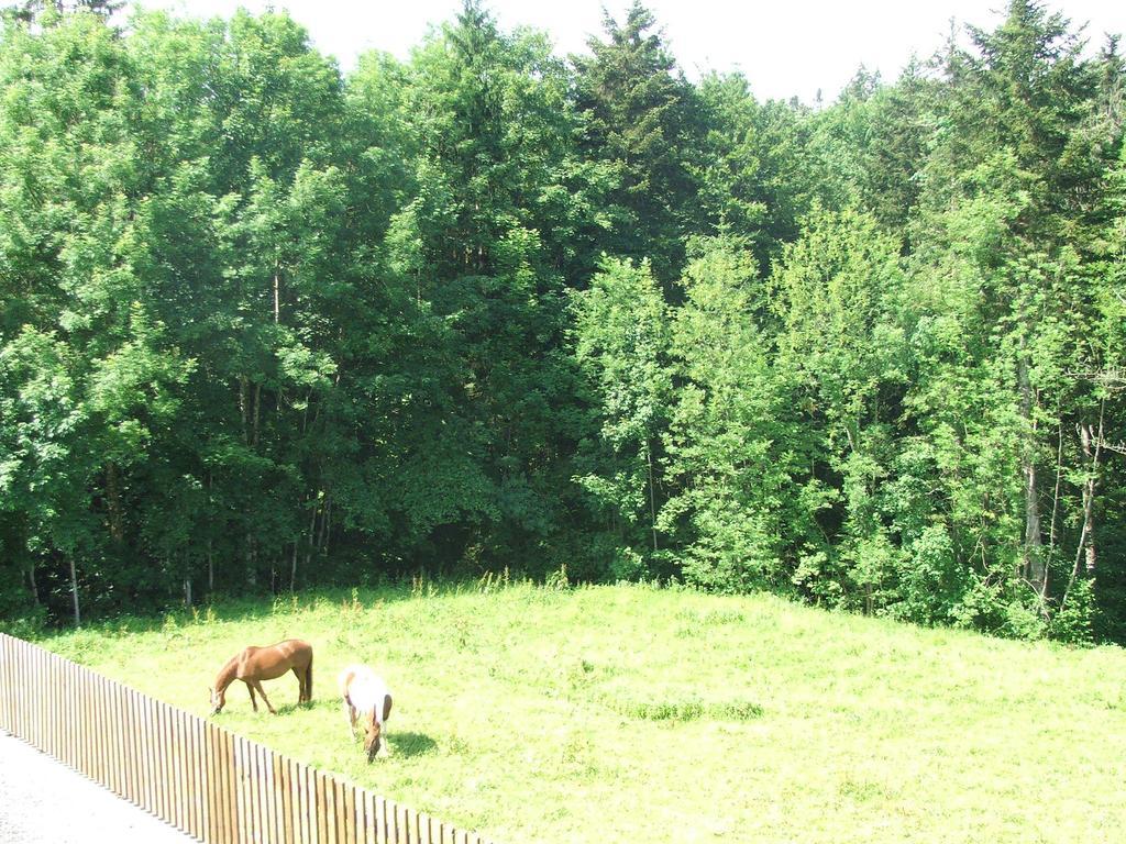 Pension Jagerheim Krumbach  Exterior foto